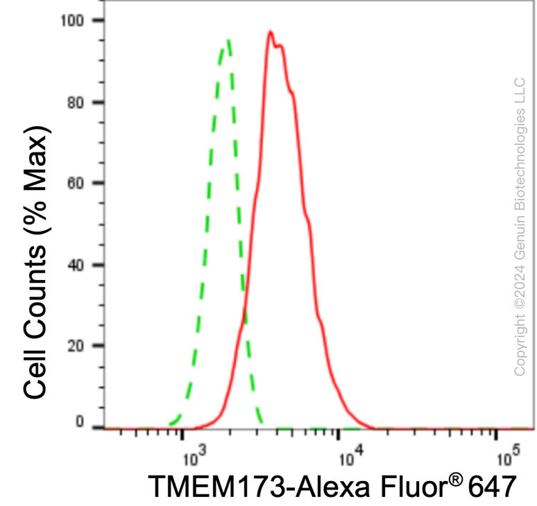 KD-Validated Anti-TMEM173 Rabbit Monoclonal Antibody ABG1003