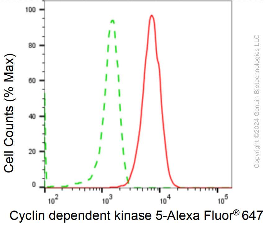 KD-Validated Anti-Cyclin dependent kinase 5 Rabbit Monoclonal Antibody ABG1004