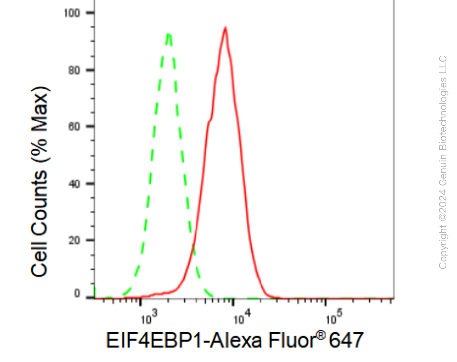 KD-Validated Anti-EIF4EBP1 Rabbit Monoclonal Antibody ABG1015
