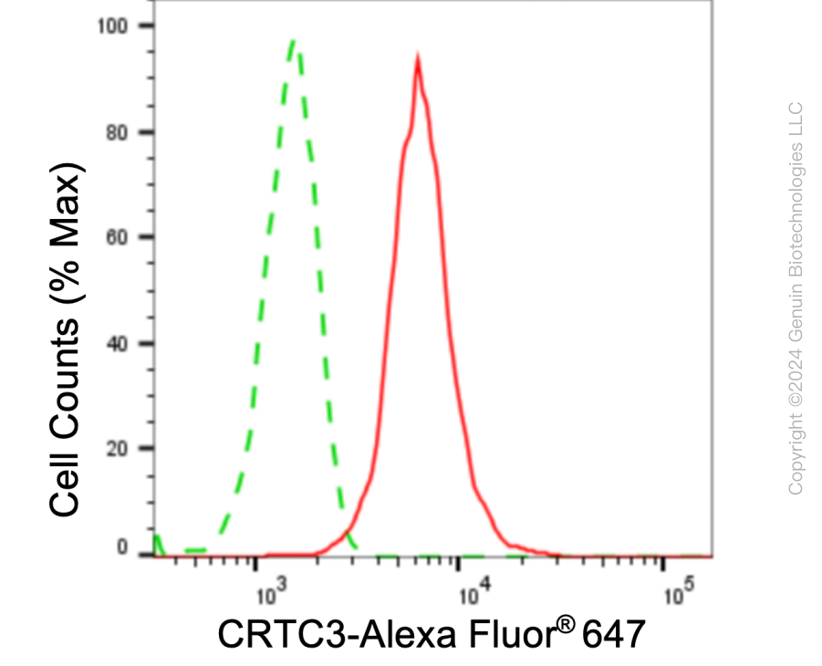 KD-Validated Anti-CRTC3 Rabbit Monoclonal Antibody ABG1016