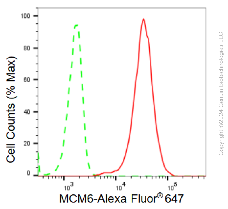 KD-Validated Anti-MCM6 Rabbit Monoclonal Antibody ABG1019