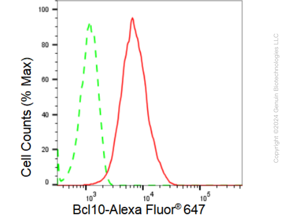 KD-Validated Anti-Bcl10 Rabbit Monoclonal Antibody ABG1023