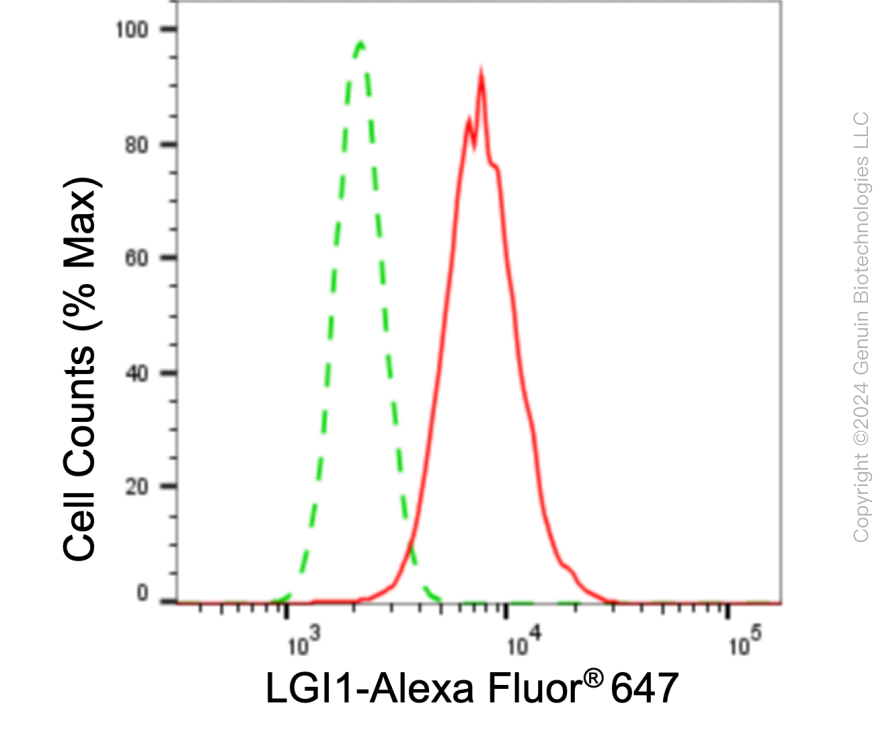 KD-Validated Anti-LGI1 Rabbit Monoclonal Antibody ABG1024