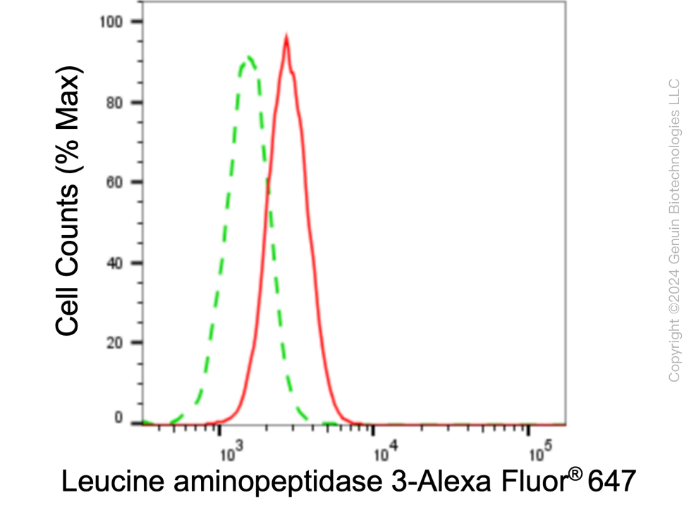 KD-Validated Anti-Leucine aminopeptidase 3 Rabbit Monoclonal Antibody ABG1027