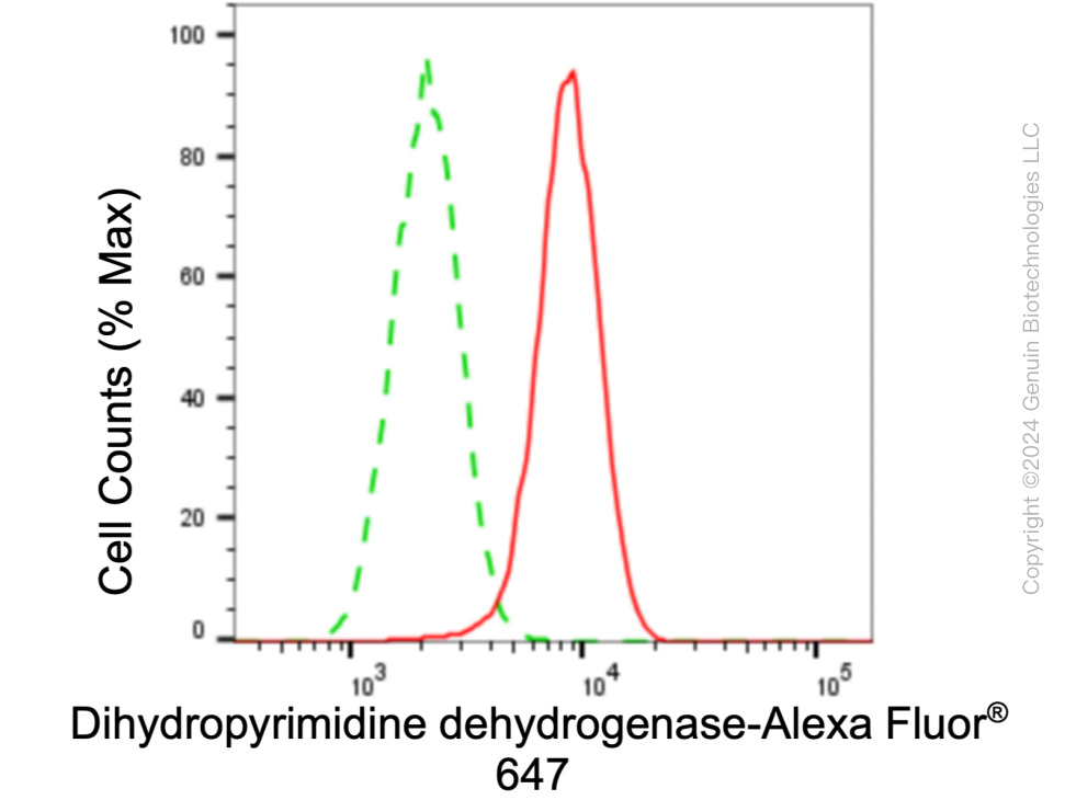 KD-Validated Anti-Dihydropyrimidine dehydrogenase Rabbit Monoclonal Antibody ABG1033