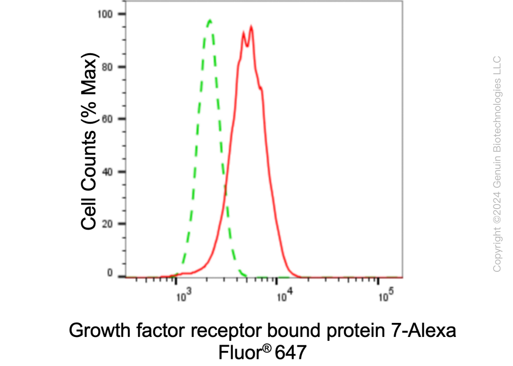 KD-Validated Anti-Growth Factor Receptor Bound Protein 7 Rabbit Monoclonal Antibody ABG1035