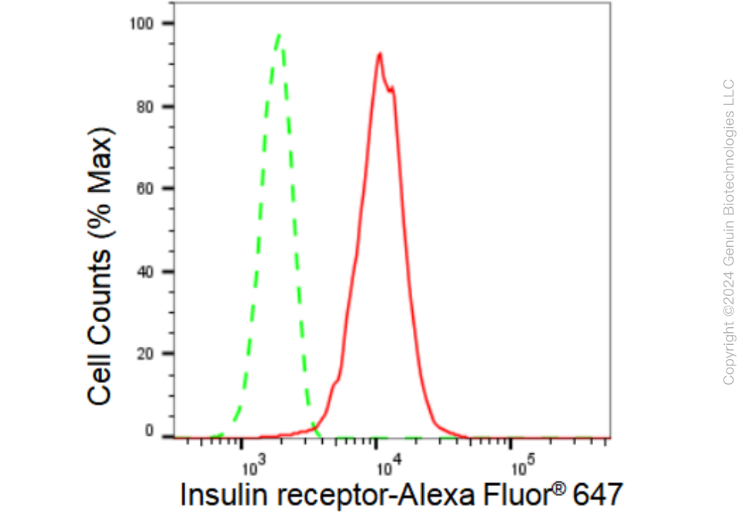 KD-Validated Anti-Insulin receptor Rabbit Monoclonal Antibody ABG1039