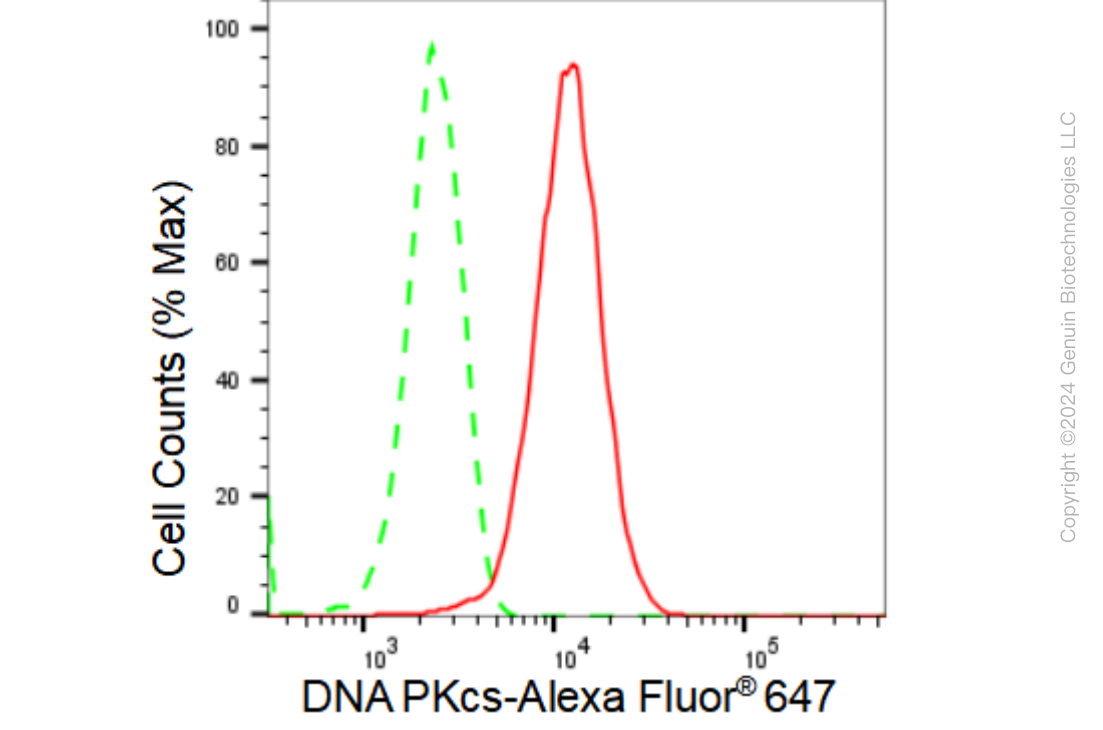 KD-Validated Anti-DNA PKcs Rabbit Monoclonal Antibody ABG1041