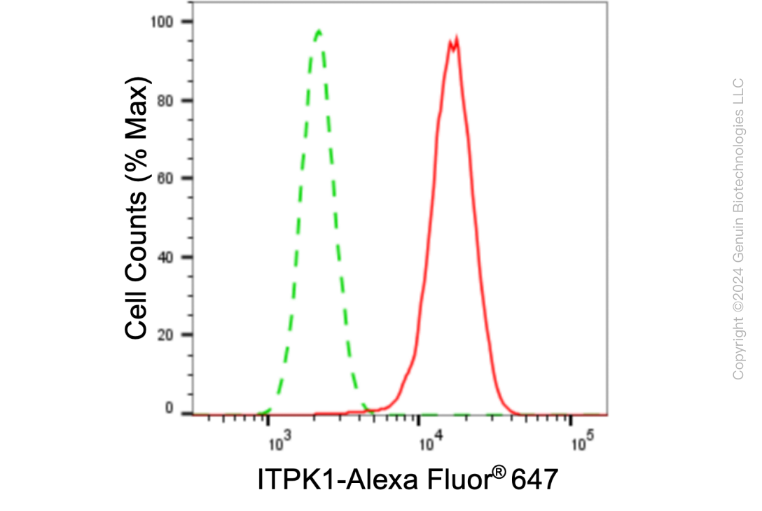 KD-Validated Anti-ITPK1 Rabbit Monoclonal Antibody ABG1042