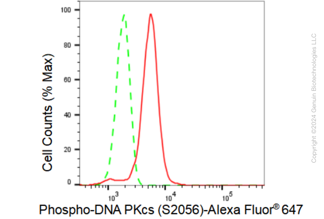 KD-Validated Anti-Phospho-DNA PKcs (S2056) Rabbit Monoclonal Antibody ABG1047