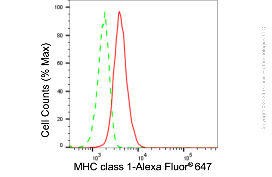 KD-Validated Anti-MHC class 1 Rabbit Monoclonal Antibody ABG1048