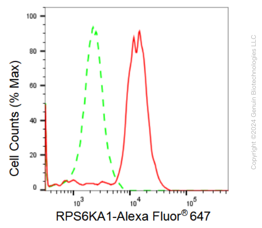 KD-Validated Anti-RPS6KA1 Rabbit Monoclonal Antibody ABG1049