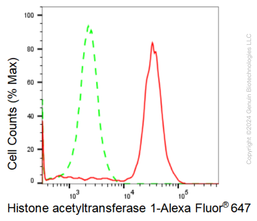 KD-Validated Anti-Histone acetyltransferase 1 Rabbit Monoclonal Antibody ABG1051