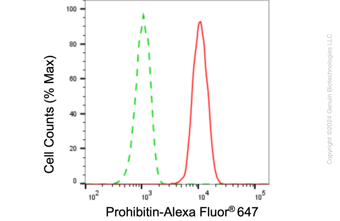 KD-Validated Anti-Prohibitin Rabbit Monoclonal Antibody ABG1052