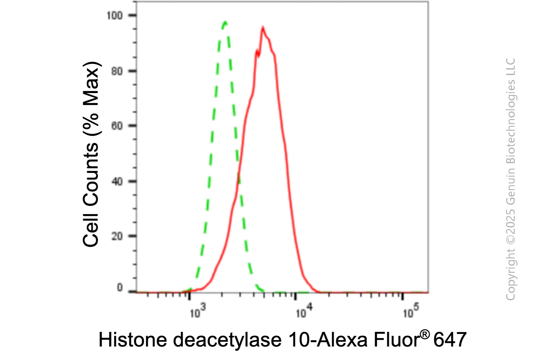 KD-Validated Anti-Histone deacetylase 10 Rabbit Monoclonal Antibody ABG1053