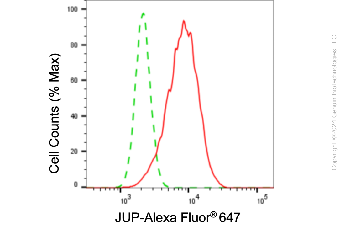KD-Validated Anti-JUP Rabbit Monoclonal Antibody ABG1054