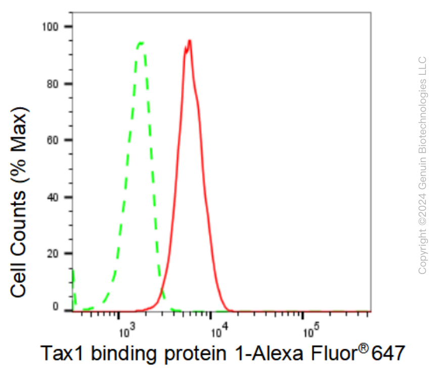 KD-Validated Anti-Tax1 binding protein 1 Rabbit Monoclonal Antibody ABG1055