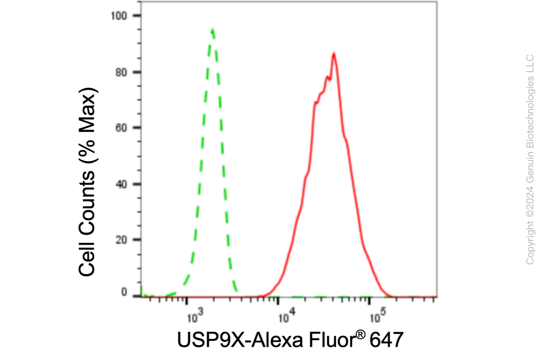 KD-Validated Anti-USP9X Rabbit Monoclonal Antibody ABG1059