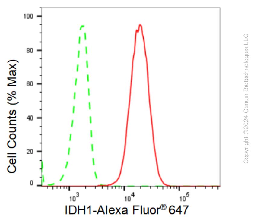 KD-Validated Anti-IDH1 Rabbit Monoclonal Antibody ABG1060