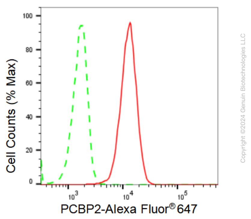 KD-Validated Anti-PCBP2 Rabbit Monoclonal Antibody ABG1061