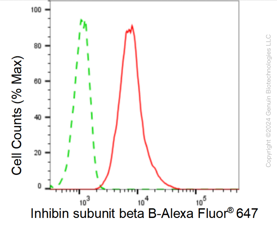 KD-Validated Anti-Inhibin subunit beta B Rabbit Monoclonal Antibody ABG1062