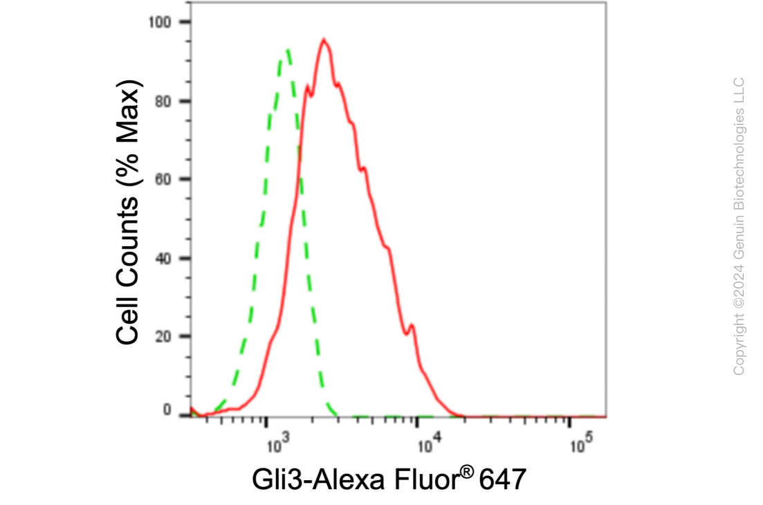 KD-Validated Anti-Gli3 Rabbit Monoclonal Antibody ABG1063