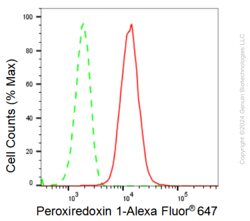 KD-Validated Anti-Peroxiredoxin 1 Rabbit Monoclonal Antibody ABG1065