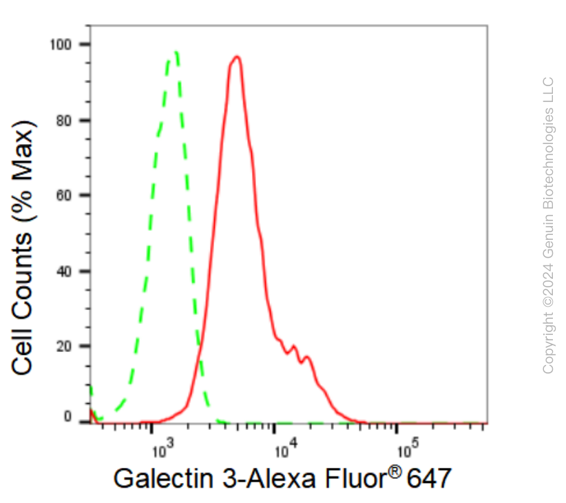 KD-Validated Anti-Galectin 3 Rabbit Monoclonal Antibody ABG1067