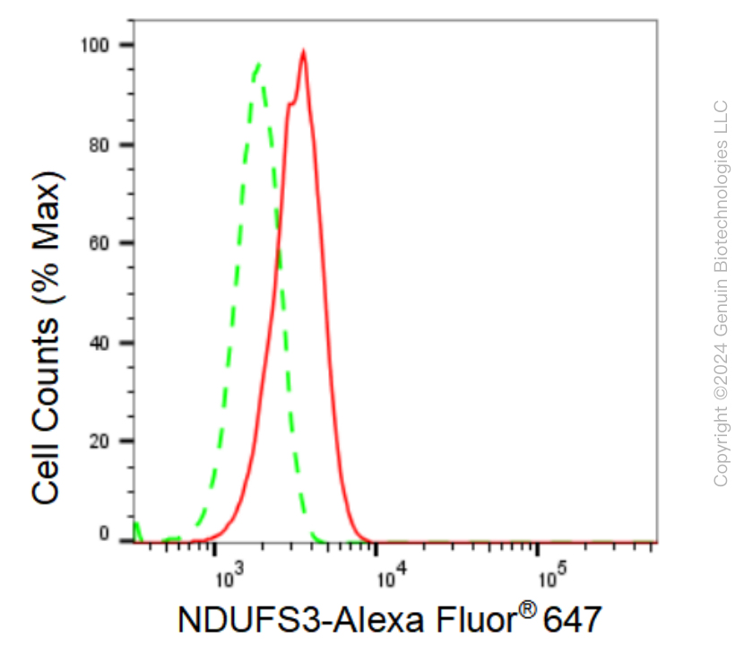 KD-Validated Anti-NDUFS3 Rabbit Monoclonal Antibody ABG1071