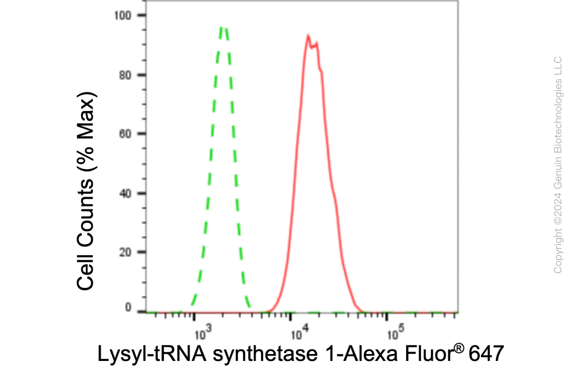 KD-Validated Anti-Lysyl-tRNA synthetase 1 Rabbit Monoclonal Antibody ABG1074
