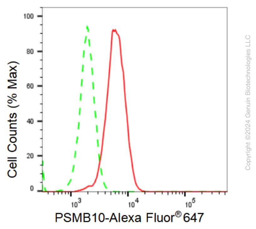 KD-Validated Anti-PSMB10 Rabbit Monoclonal Antibody ABG1075