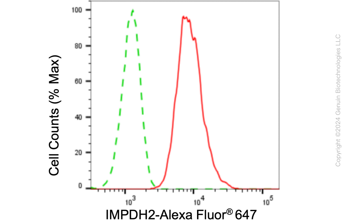 KD-Validated Anti-IMPDH2 Rabbit Monoclonal Antibody ABG1076