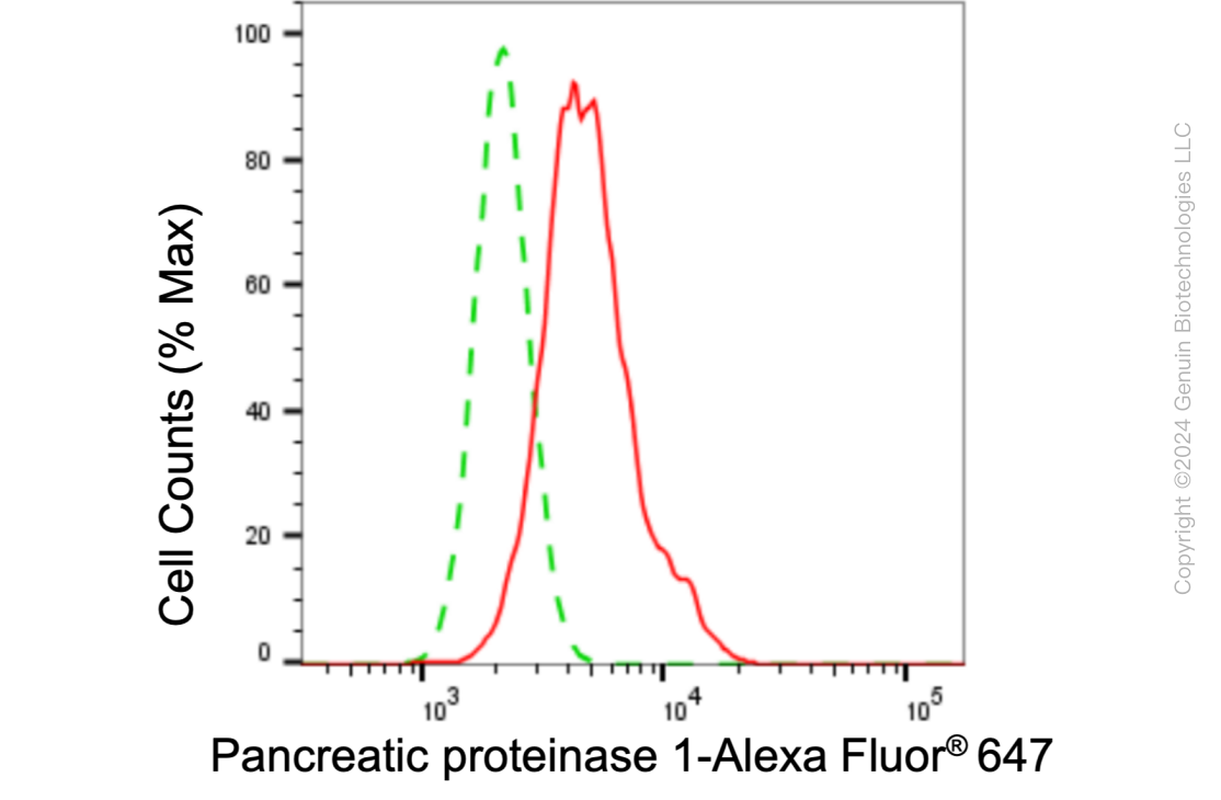 KD-Validated Anti-Pancreatic proteinase 1 Rabbit Monoclonal Antibody ABG1080