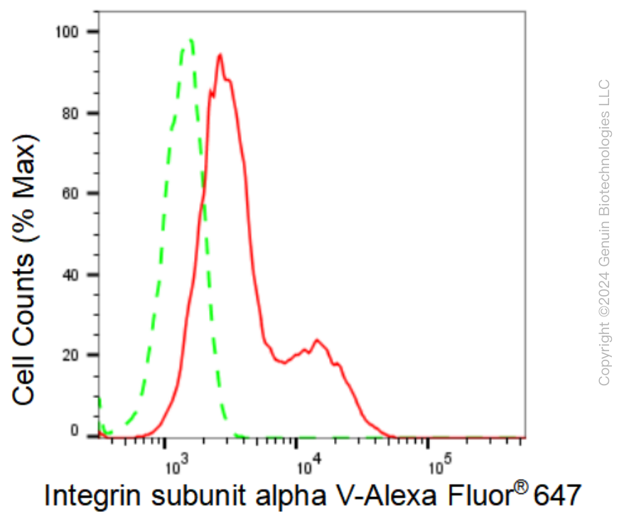 KD-Validated Anti-Integrin subunit alpha V Rabbit Monoclonal Antibody ABG1085