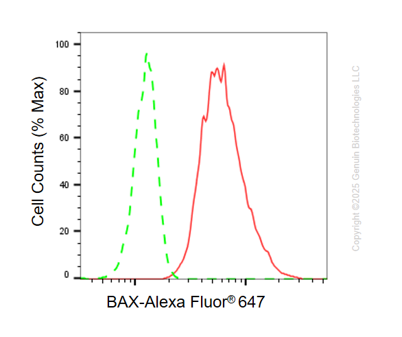 KD-Validated Anti-BAX Rabbit Monoclonal Antibody ABG1090