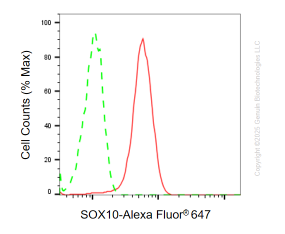 KD-Validated Anti-SRY-Box Transcription Factor 10 Rabbit Monoclonal Antibody ABG1096