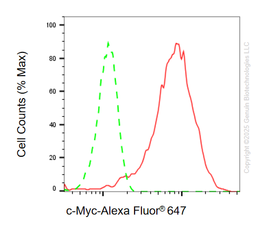 KD-Validated Anti-MYC Rabbit Monoclonal Antibody ABG1097