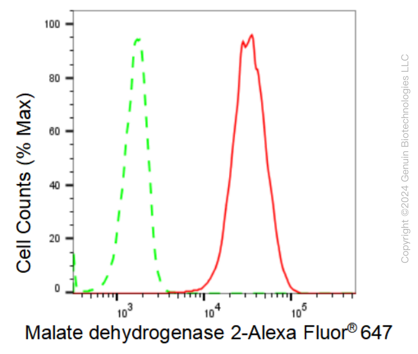 KD-Validated Anti-Malate dehydrogenase 2 Rabbit Monoclonal Antibody ABG1100
