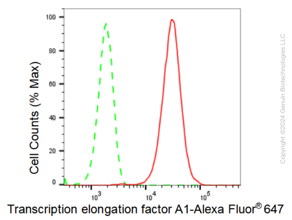 KD-Validated Anti-Transcription elongation factor A1 Rabbit Monoclonal Antibody ABG1101