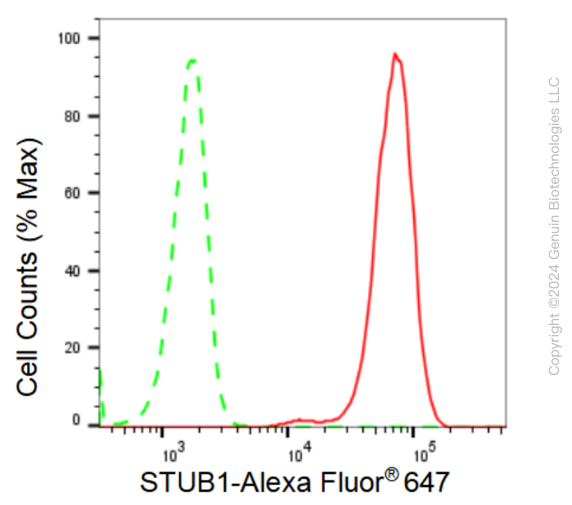 KD-Validated Anti-STUB1 Rabbit Monoclonal Antibody ABG1103
