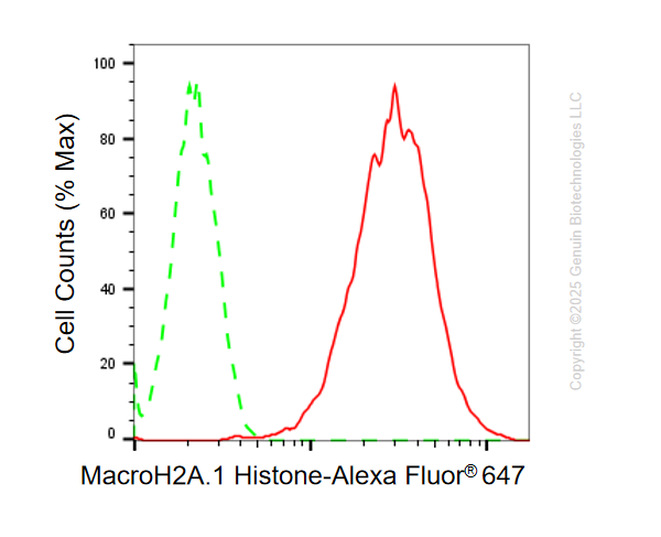 KD-Validated Anti-MacroH2A.1 Histone Rabbit Monoclonal Antibody ABG1105