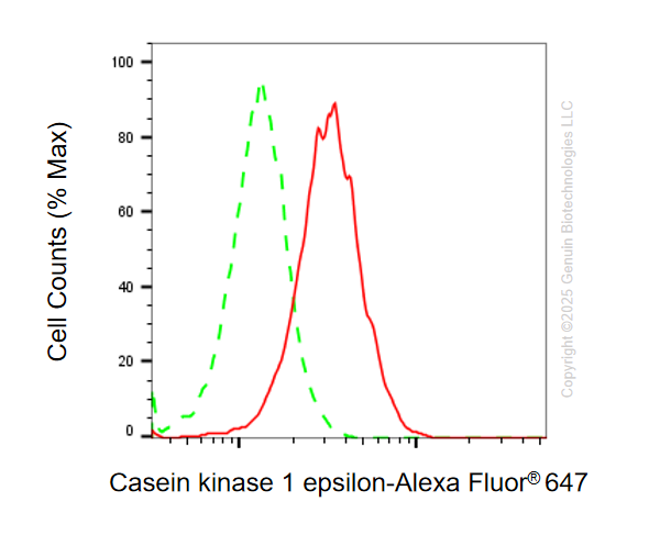 KD-Validated Anti-CSNK1E mouse monoclonal antibody ABG1106