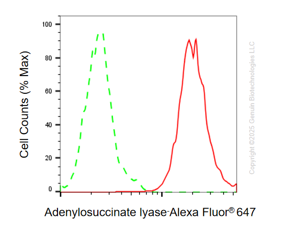KD-Validated Anti-Adenylosuccinate Lyase Mouse Monoclonal Antibody ABG1110