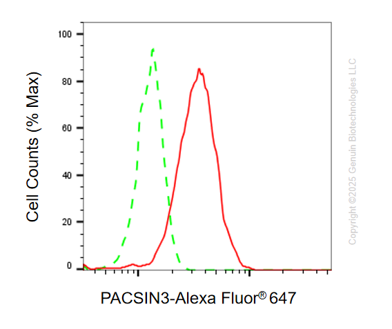 KD-Validated Anti-PACSIN3 Mouse Monoclonal Antibody ABG1112