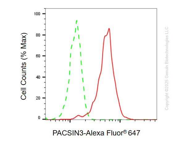 KD-Validated Anti-PACSIN3 Mouse Monoclonal Antibody ABG1113