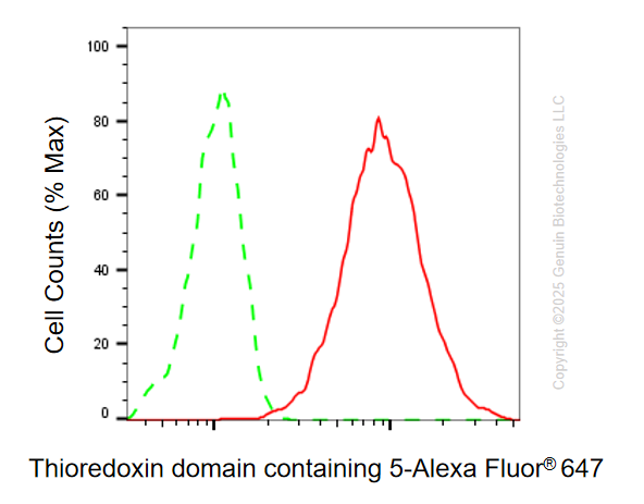 KD-Validated Anti-TXNDC5 Mouse Monoclonal Antibody ABG1114