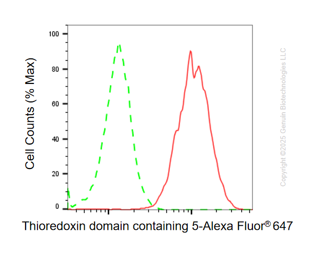 KD-Validated Anti-TXNDC5 Mouse Monoclonal Antibody ABG1115