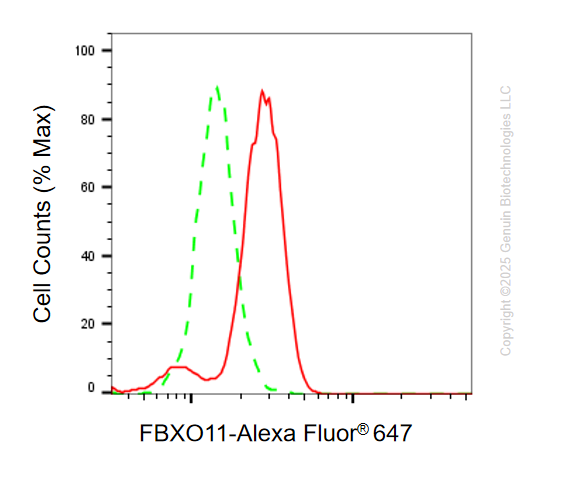 KD-Validated Anti-F-Box Protein 11 Mouse Monoclonal Antibody ABG1116