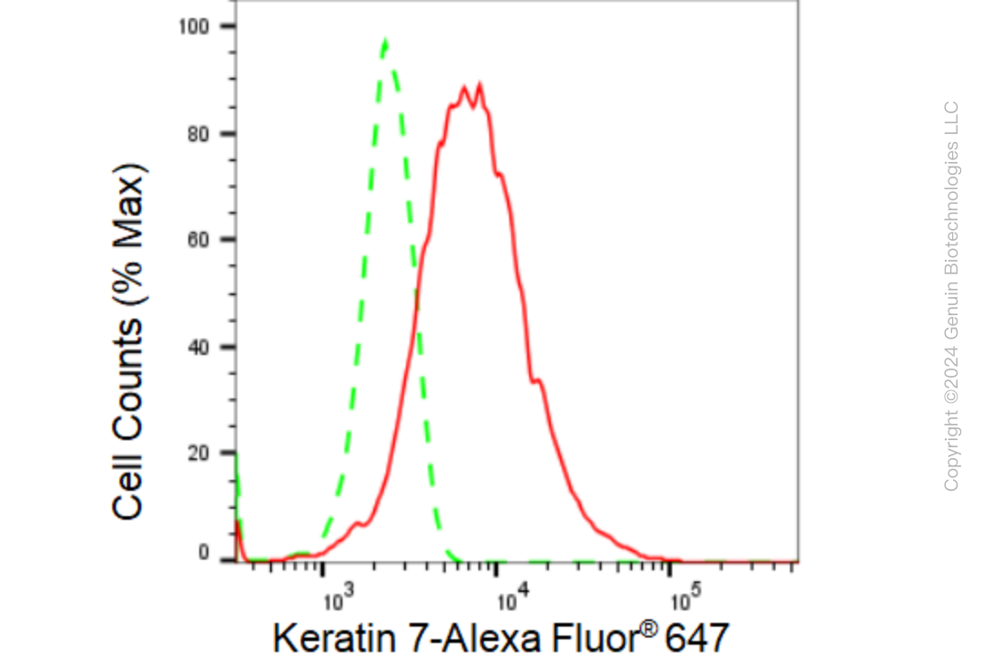 KD-Validated Anti-Keratin 7 Rabbit Monoclonal Antibody ABG1121