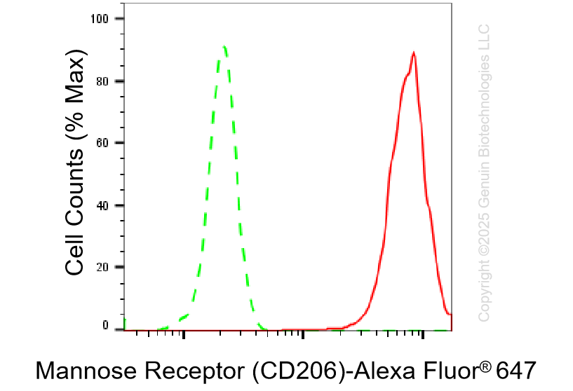 KD-Validated Anti-Mannose Receptor (CD206) Rabbit Monoclonal Antibody ABG1126